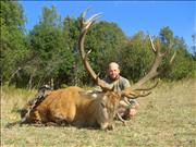 STAG CHRISTIAN 2009 2
